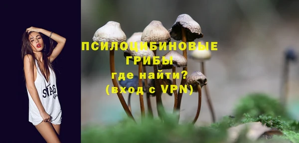 амф Новозыбков