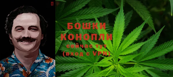 амф Новозыбков