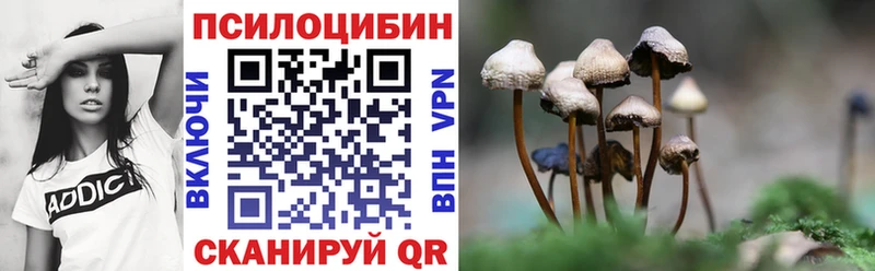 Галлюциногенные грибы Psilocybine cubensis закладка Артёмовский
